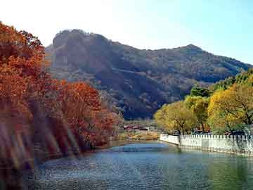 澳门二四六天天彩图库，岫岩玉价格